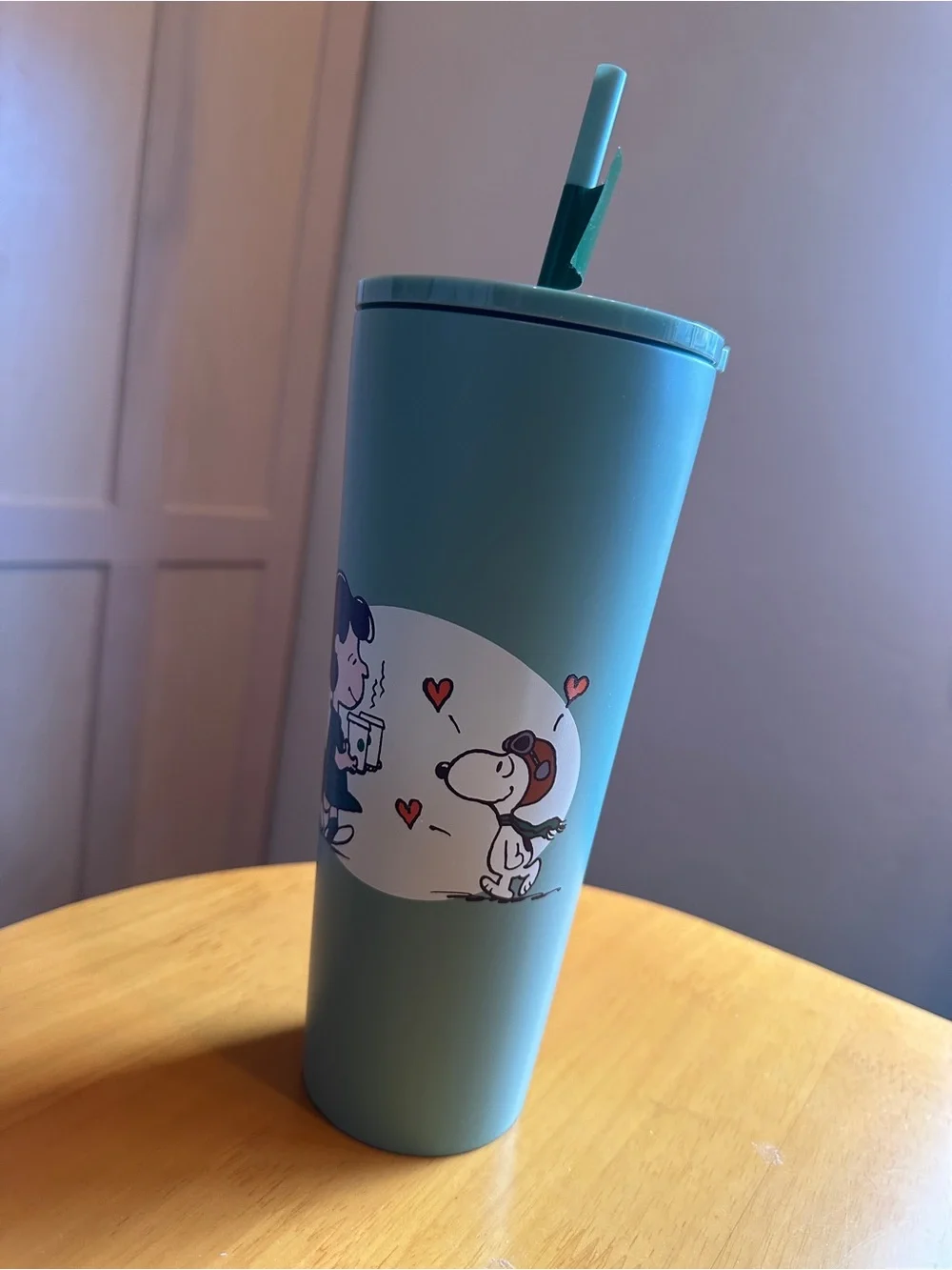 Starbucks x Peanuts Snoopy and Lucy - Green Tumbler 24oz